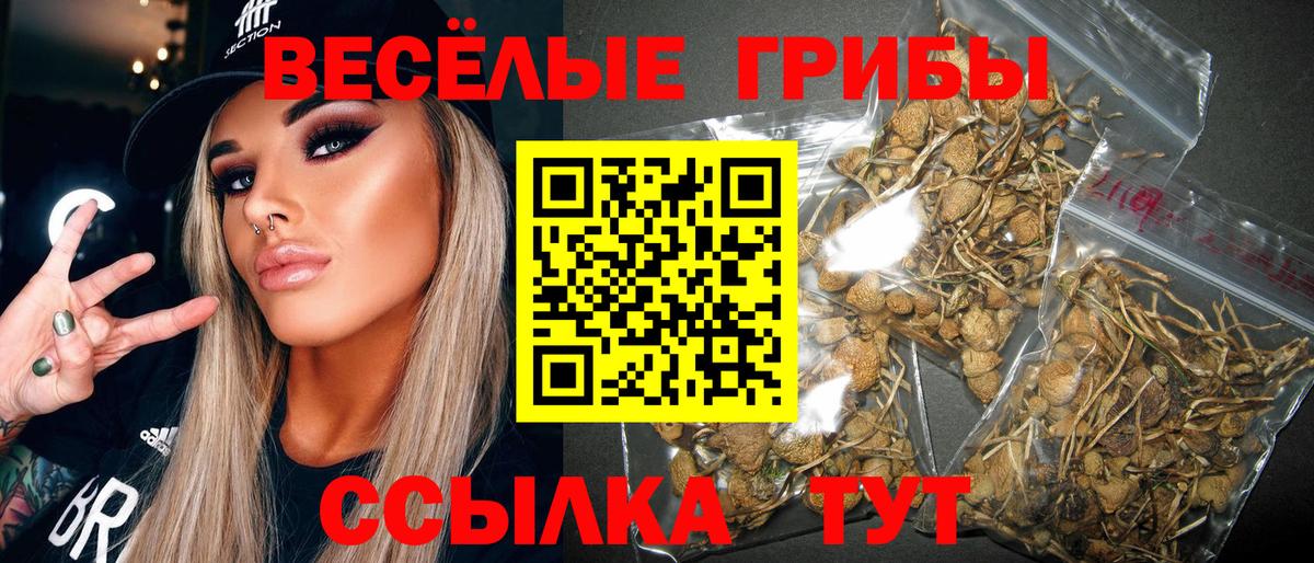 Галлюциногенные грибы Cubensis  сколько стоит  Вход с VPN  Учалы  Псилоцибиновые грибы прущие грибы 