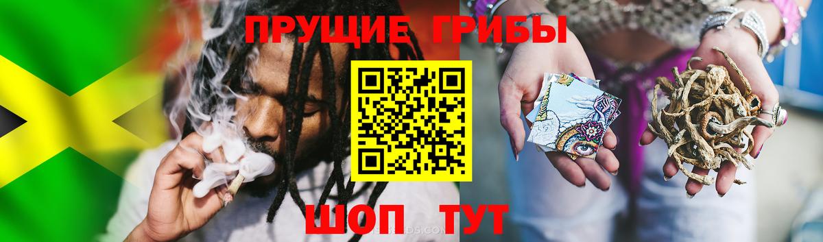 Галлюциногенные грибы Psilocybe Учалы